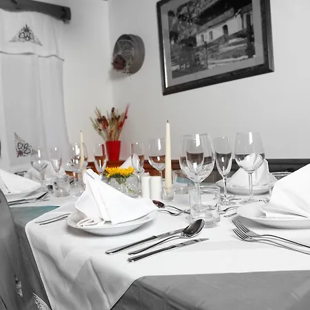 Guest house Gostilna Surc *